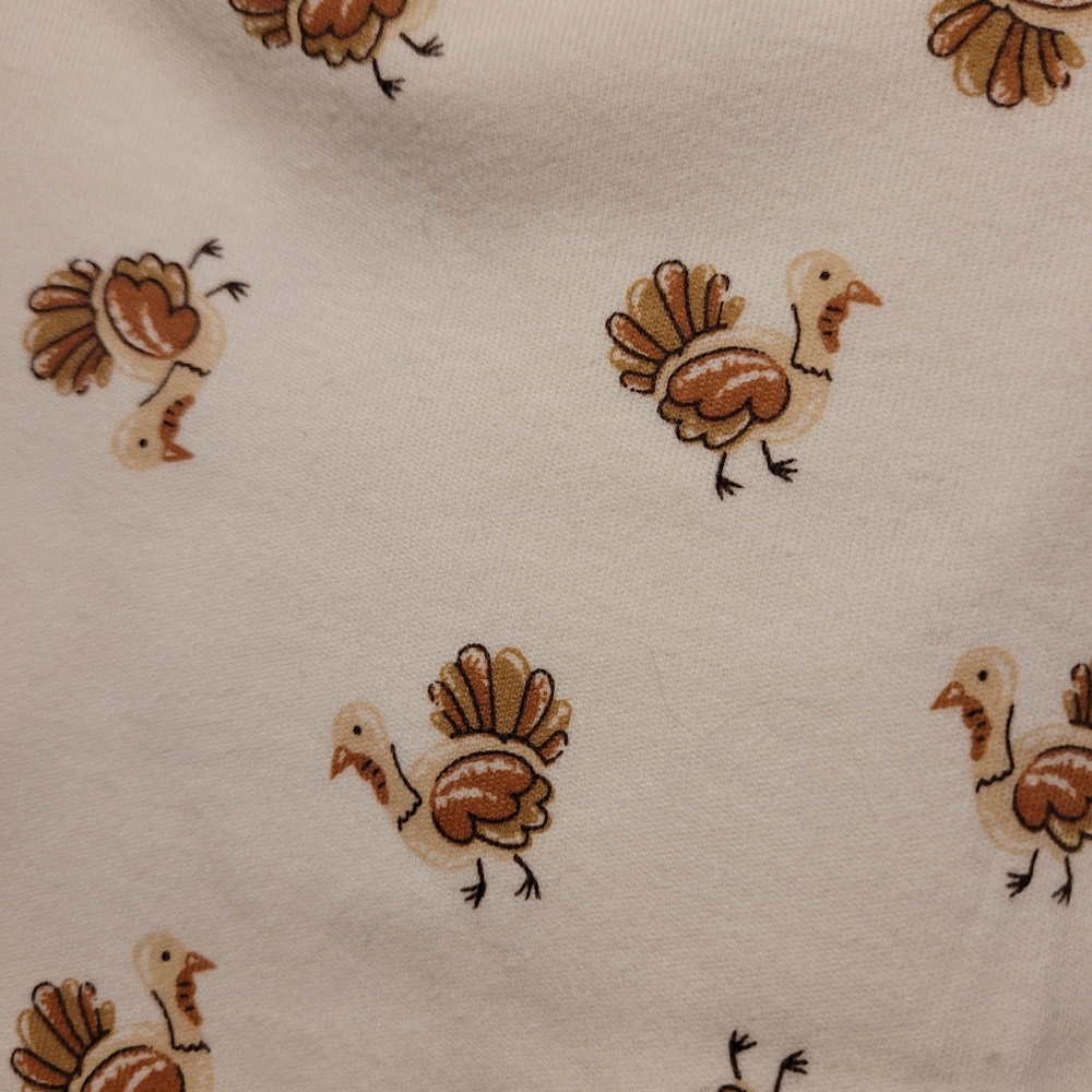 NWT Starting Out 3 Month Thanksgiving Onesie, Pants, Socks, and Bib set - Picture 6 of 7